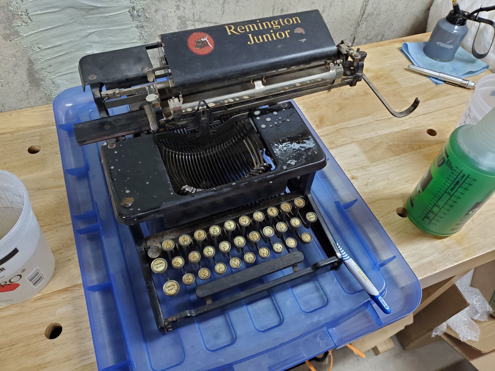 Photo from the Remington Junior gallery